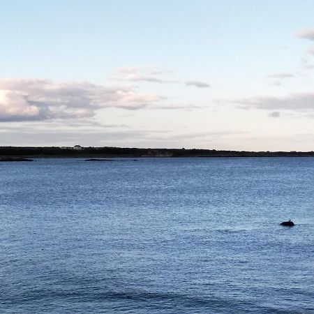 Fishermans Cottage Killough Εξωτερικό φωτογραφία